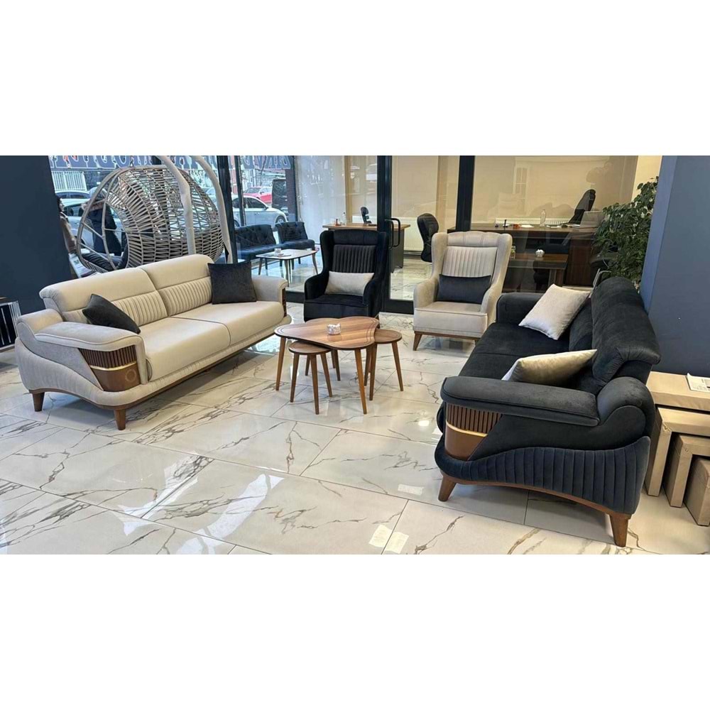 Aslan Koltuk Takımı