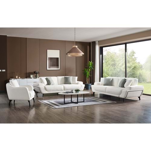 Dakron Salon takımı